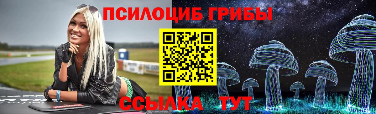 Псилоцибиновые грибы Cubensis  Вход с VPN  Новосибирск 