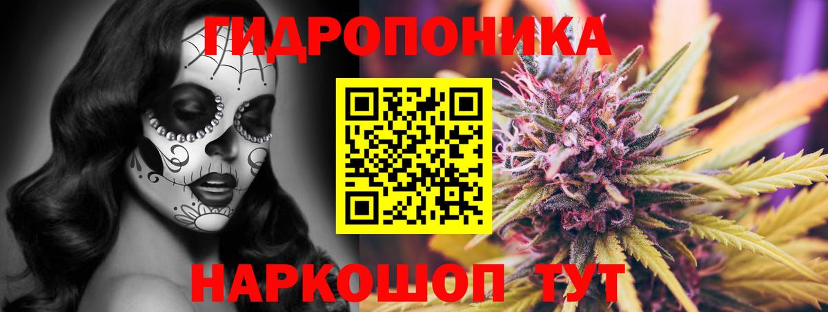Новосибирск  Каннабис тримм  Канабис AK-47  Вход с VPN  МАРИХУАНА план  Канабис индика 